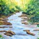 Cascading Stream Paint Night Fri Oct 25th