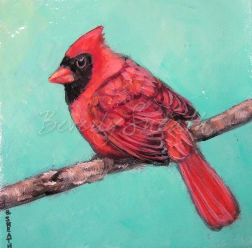 Cardinal, bird on branch