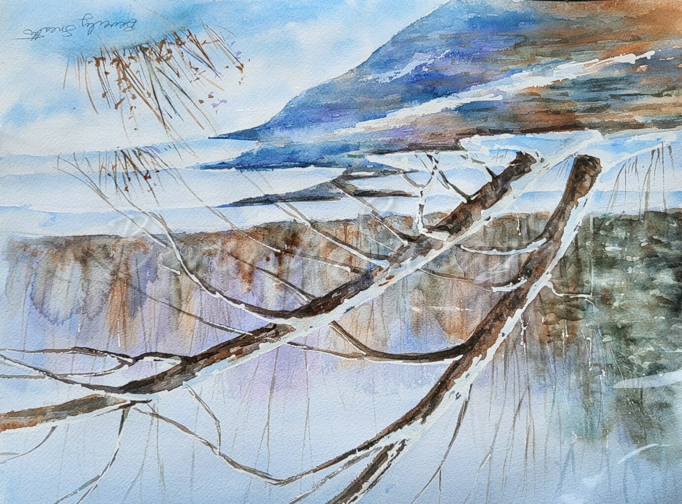 Winter Stream, leaning trees over water