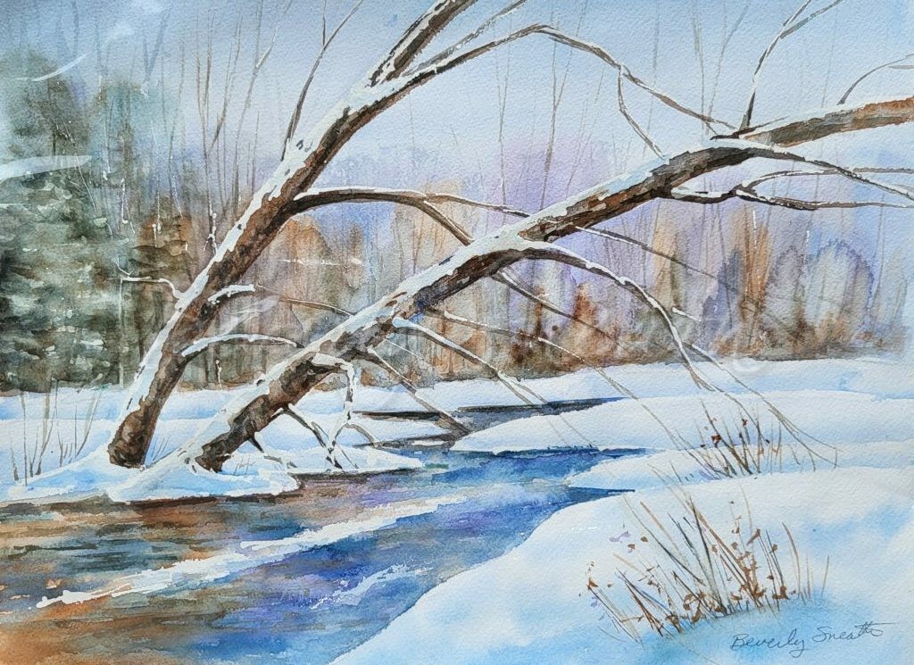 Winter Stream, leaning trees over water